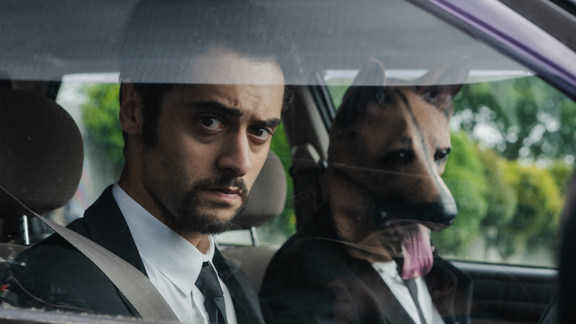 The Brokenwood Mysteries S7E3 Dog Day Morning Knowledge.ca